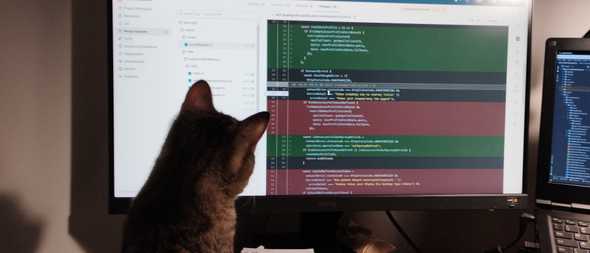 Kot też może przeglądać kod